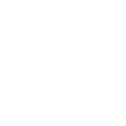 icon-image