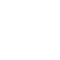 icon-image