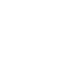 icon-image
