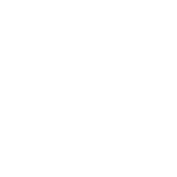 icon-image